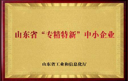山东专精特新企业